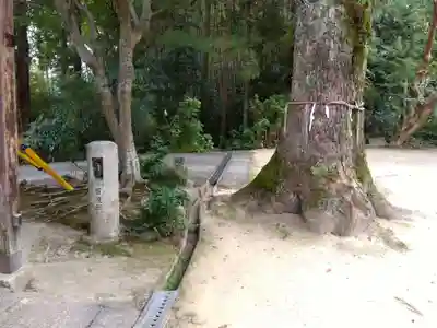 南照寺(滋賀県)