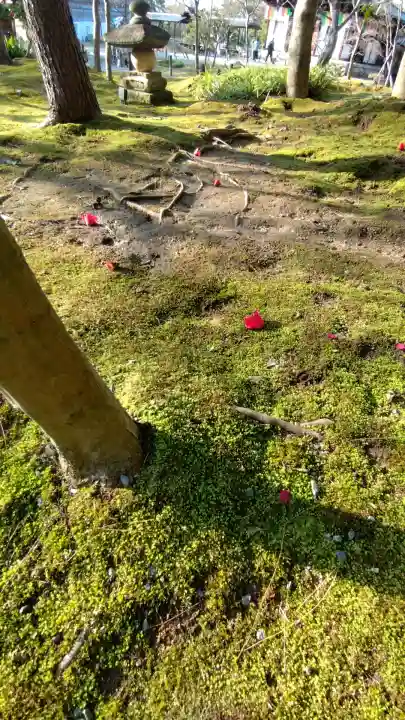 高台寺(高台寿聖禅寺・高臺寺)の{uncategorized: "未分類", other: "その他", undefined: "問題あり", building: "その他建物", grave: "お墓", sacred_gate: "鳥居", guardian: "狛犬", statue: "像", buddha: "仏像", history: "歴史", nature: "自然", garden: "庭園", animal: "動物", pagoda: "塔", temizu: "手水舎", mountain_gate: "山門・神門", sanctuary: "本殿・本堂", subordinate: "末社・摂社", art: "芸術", scenery: "景色", jizo: "地蔵", ema: "絵馬", goshuin: "御朱印", omikuji: "おみくじ", items: "授与品その他", amulet: "お守り", goshuincho: "御朱印帳", eats: "食事", festival: "お祭り", votive_dance: "神楽", shichigosan: "七五三参", wedding: "結婚式", experience: "体験その他", initially: "初詣", around: "周辺", anti_infection: "感染症対策"}