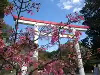 鎌倉宮の鳥居