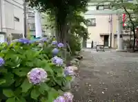 矢先稲荷神社(東京都)