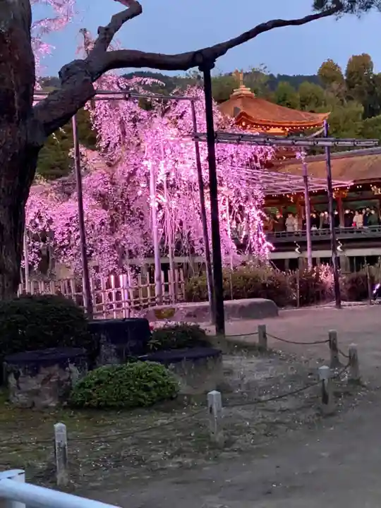 平安神宮(京都府)