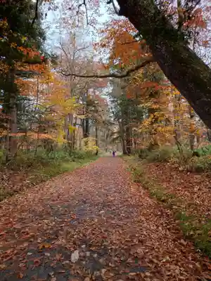 戸隠神社九頭龍社(長野県)