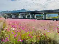 香積寺(愛媛県)