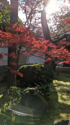 桂春院(京都府)