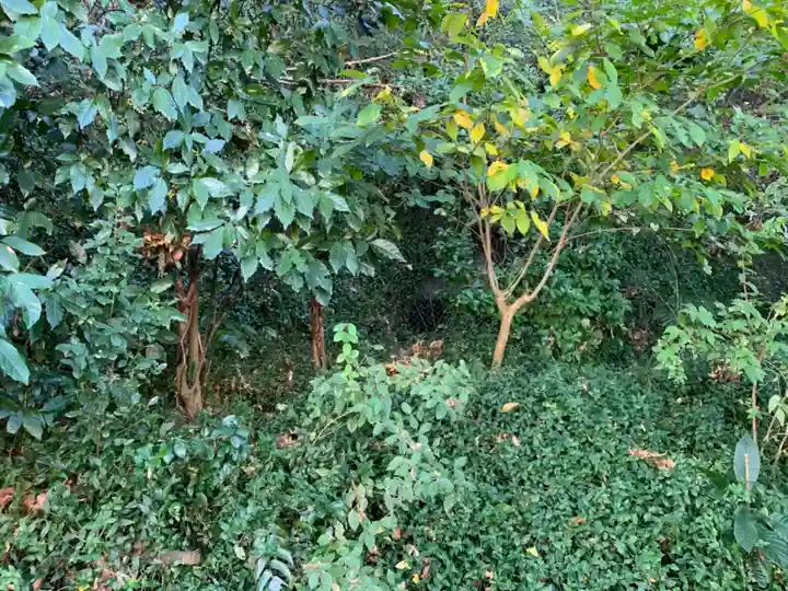 屋敷稲荷のその他建物