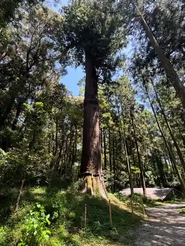 土佐神社(高知県)