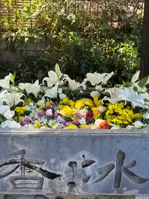 於菊稲荷神社(群馬県)