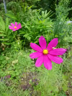 士別神社(北海道)