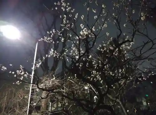 亀戸天神社(東京都)