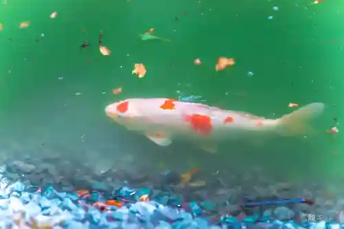 善寶寺(山形県)