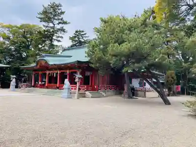 長田神社の本殿・本堂