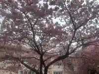 米之宮浅間神社(静岡県)