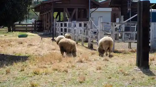 【公式】龍門院常楽寺（秩父札所十一番）(埼玉県)