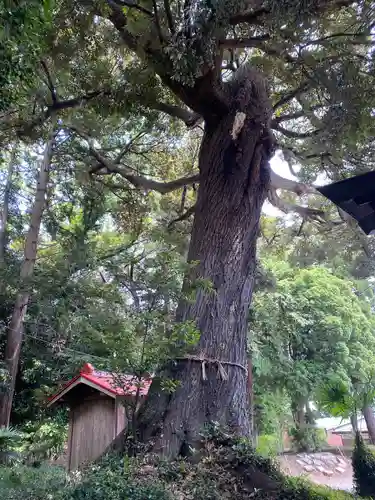 柳崎氷川神社(埼玉県)