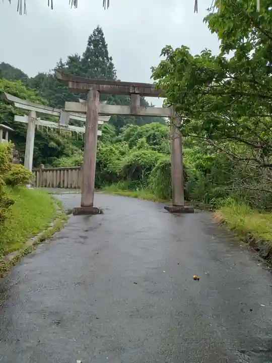 出世稲荷神社(京都府)