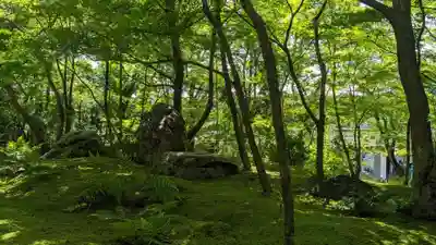禅林寺(永観堂)(京都府)