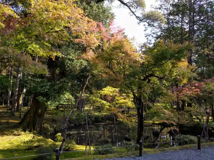 西芳寺(京都府)
