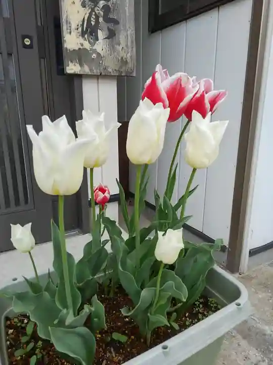 大鏑神社の自然