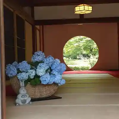 明月院(神奈川県)