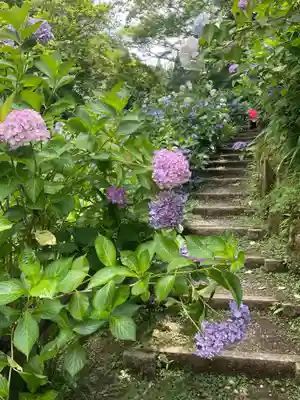 観音寺(京都府)