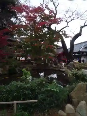 楽法寺（雨引観音）(茨城県)