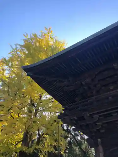 仙台東照宮(宮城県)