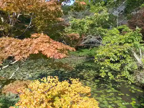 小松寺(千葉県)