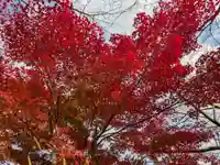 華厳寺(岐阜県)