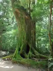 鹿島神宮の自然