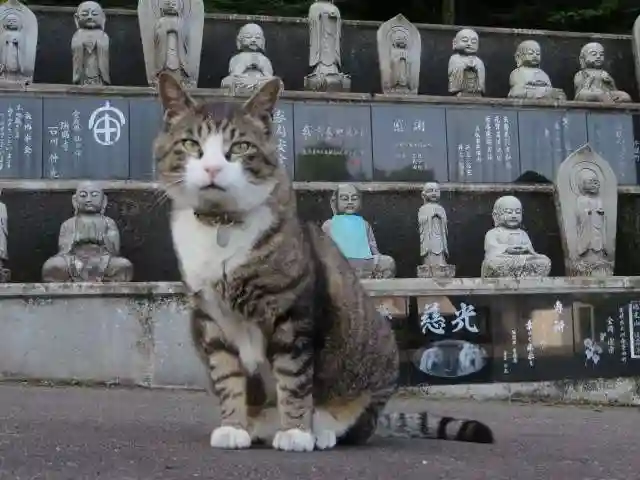 御誕生寺(猫寺)(福井県)