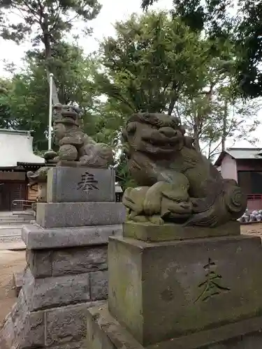 下高井戸八幡神社の狛犬