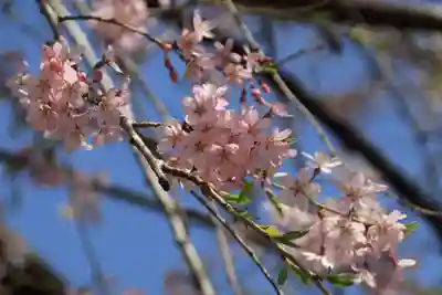 見渡神社の自然