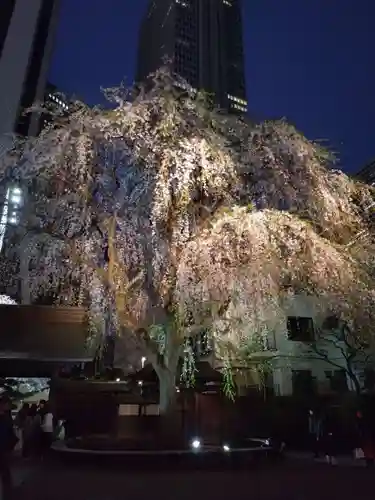 常圓寺(東京都)