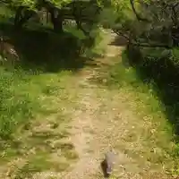 篠ケ谷神社の動物