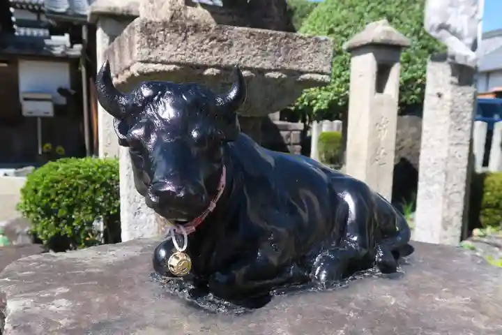 大松禅寺(京都府)