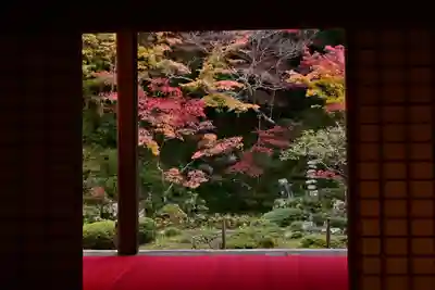 金剛輪寺(滋賀県)