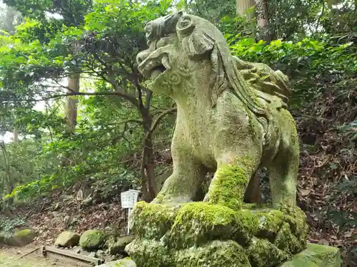 出雲神社の狛犬