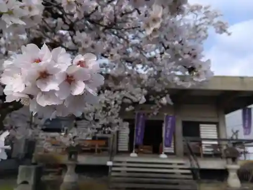 妙経寺(福井県)