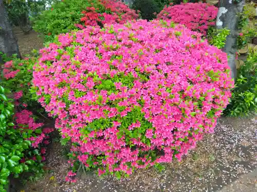 安穏寺(東京都)
