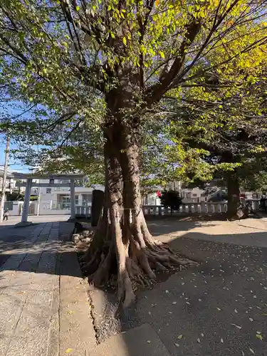 滝野川八幡神社(東京都)