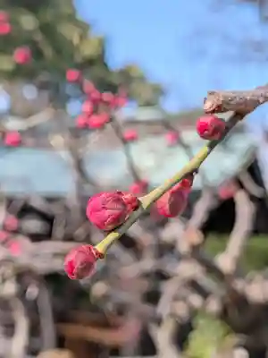 布多天神社(東京都)
