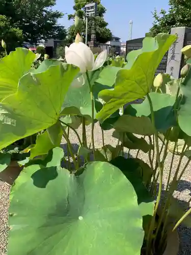 要法寺(神奈川県)