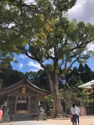 宝満宮竈門神社のその他建物