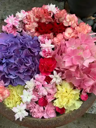 彌都加伎神社の手水舎