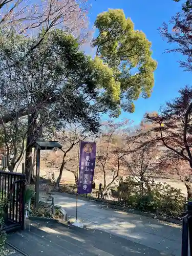 上野大佛(東京都)