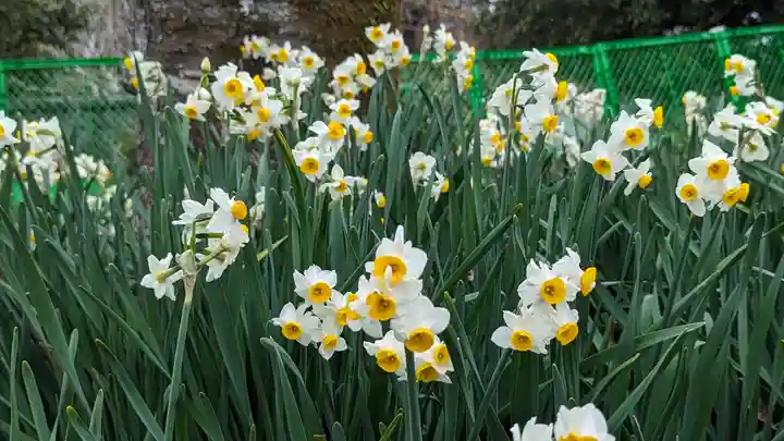 惠心院(京都府)