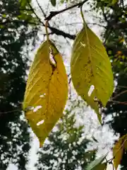 滑川神社 - 仕事と子どもの守り神の自然