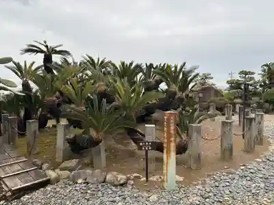 龍華寺(静岡県)