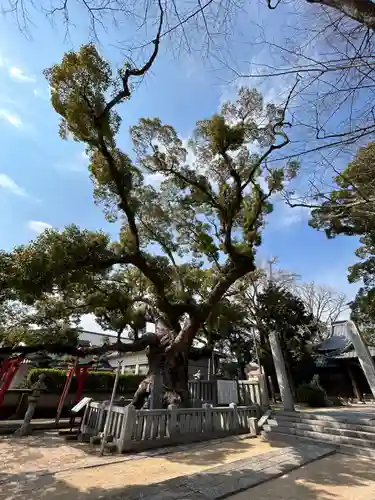 老松神社(山口県)