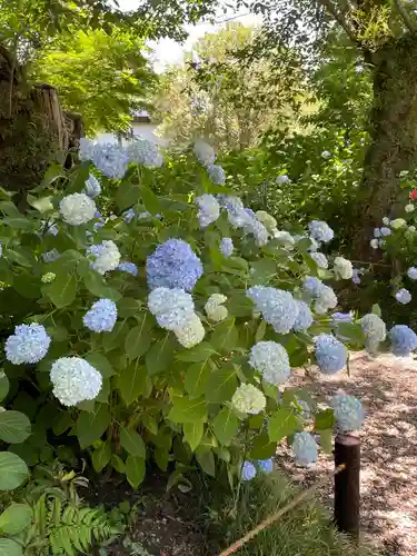 矢田寺(奈良県)